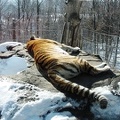 Let Sleeping Tigers Lie by Onagh